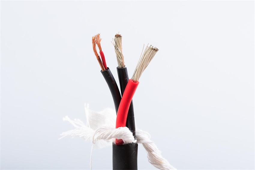 辰安光電EV線 辰安光電EV線