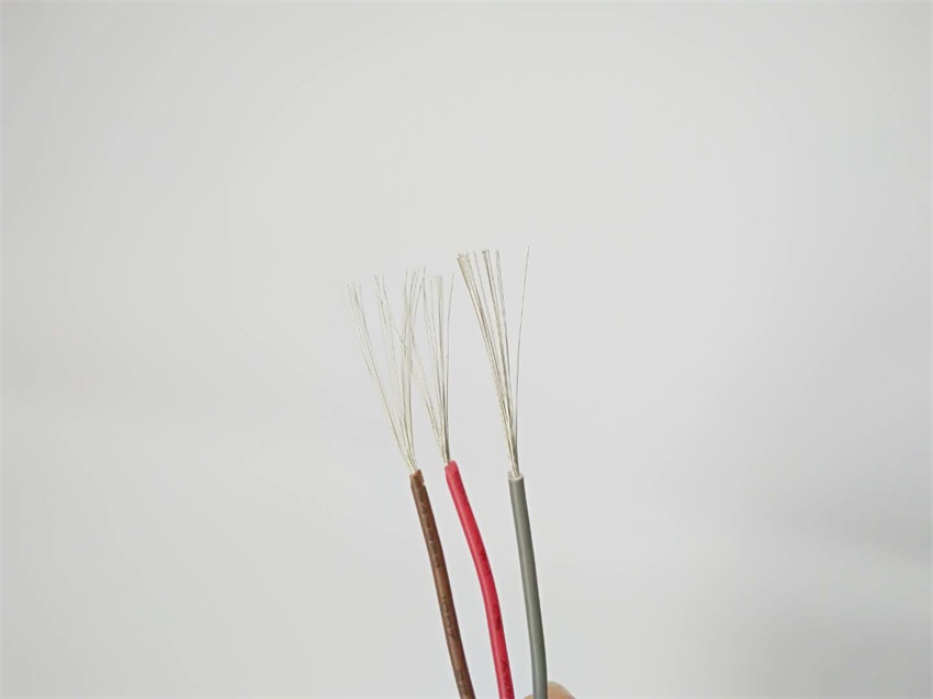 辰安光電1007 辰安光電1007