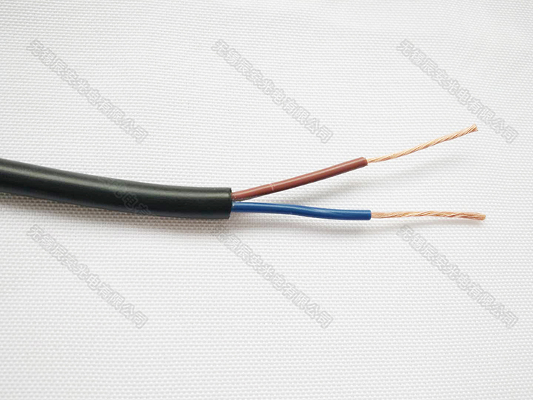 RVV  RVVPԴ  o(h)ܛ늾